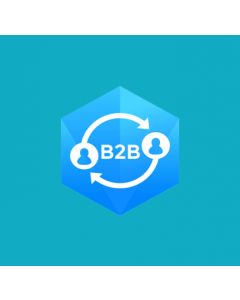 B2B E-commerce Suite